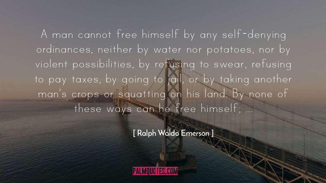 Indirect Taxes quotes by Ralph Waldo Emerson