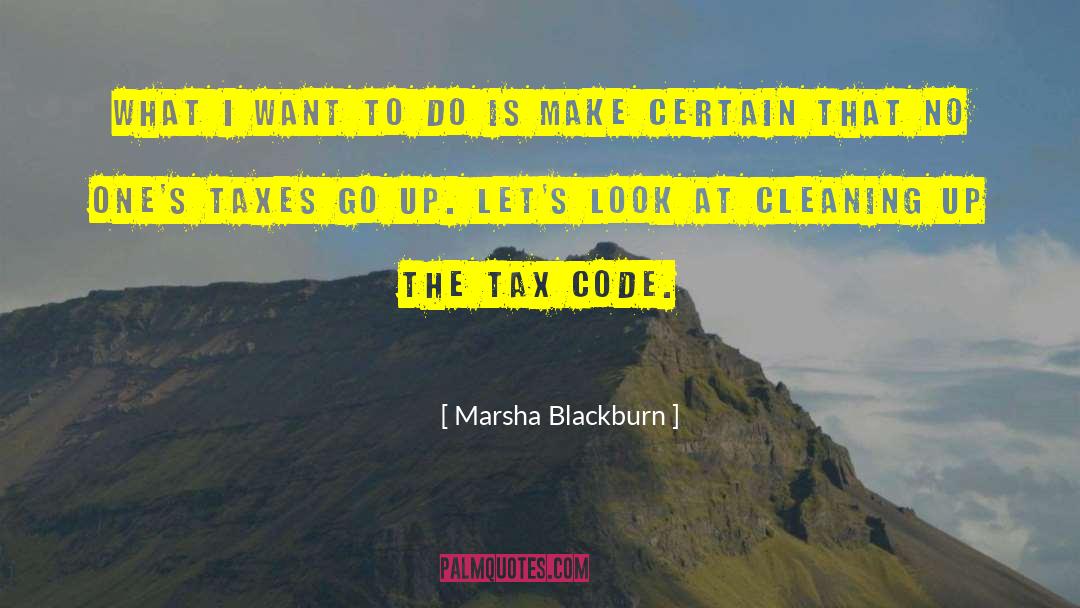 Indirect Taxes quotes by Marsha Blackburn