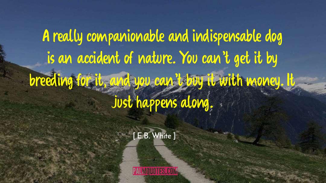 Indispensable quotes by E.B. White