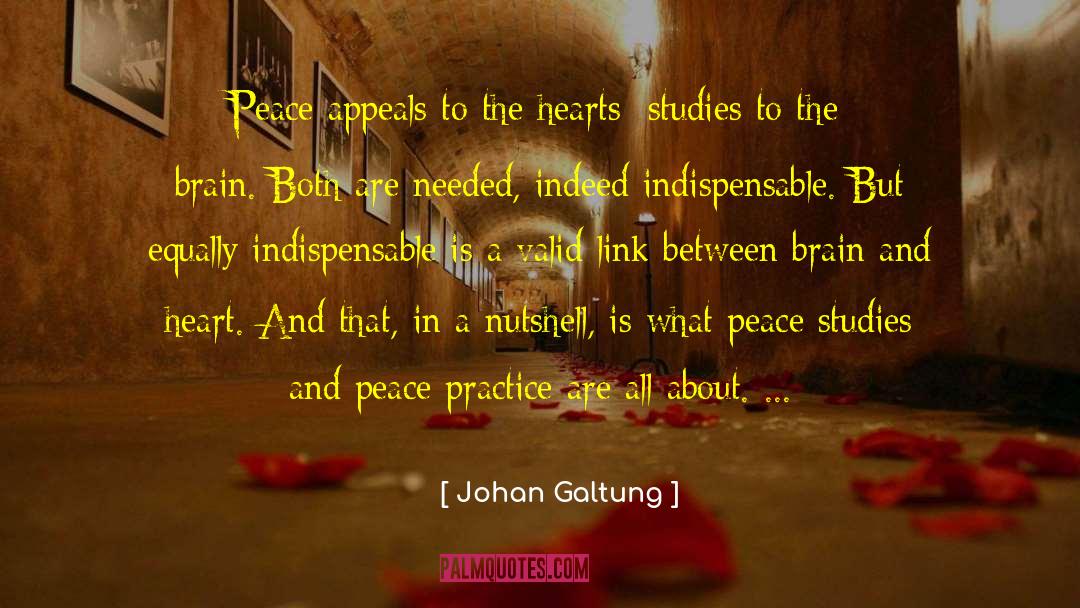 Indispensable quotes by Johan Galtung