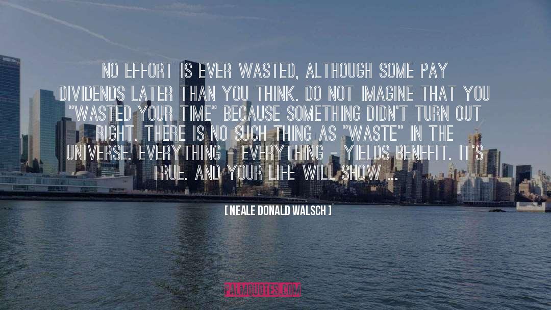 Individual Effort quotes by Neale Donald Walsch