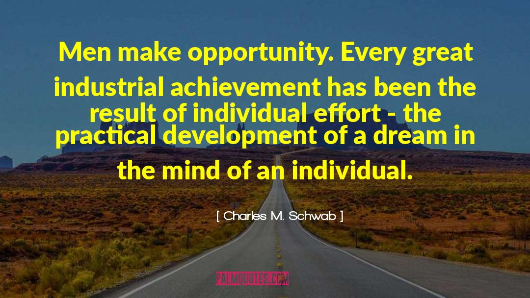 Individual Effort quotes by Charles M. Schwab