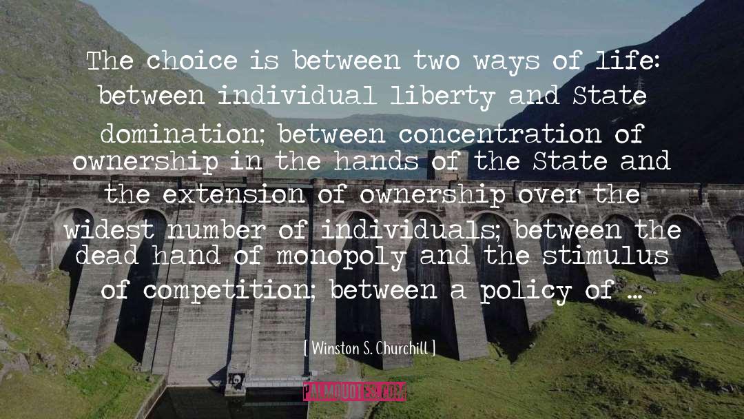 Individual Liberty quotes by Winston S. Churchill