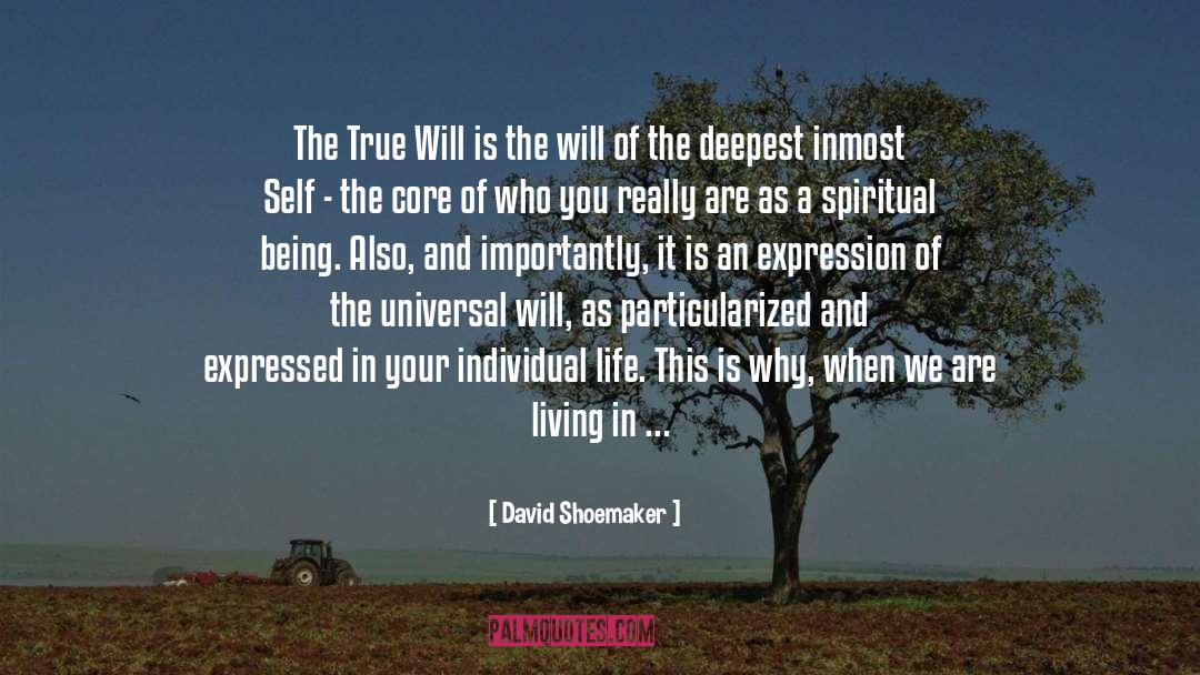 Individual Life quotes by David Shoemaker