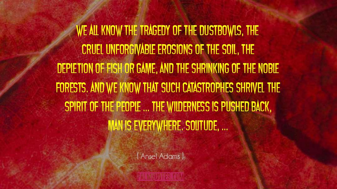 Individual Man quotes by Ansel Adams