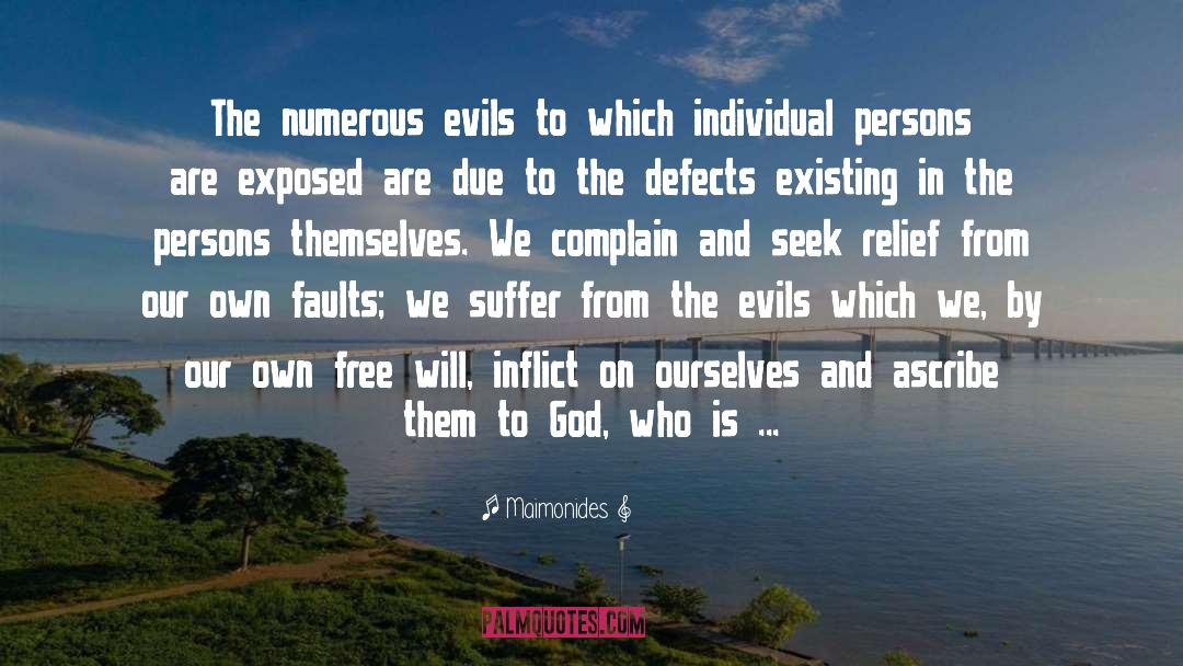 Individual Perspective quotes by Maimonides