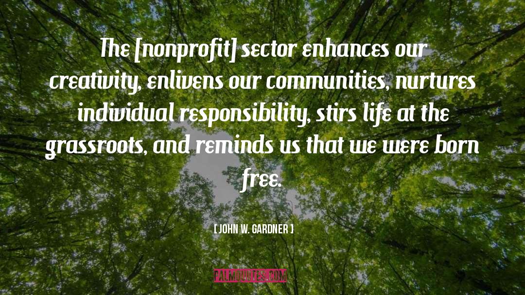 Individual Responsibility quotes by John W. Gardner