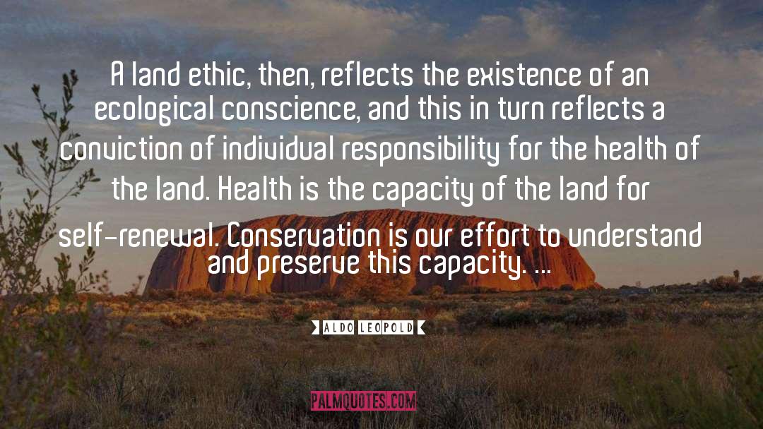 Individual Responsibility quotes by Aldo Leopold