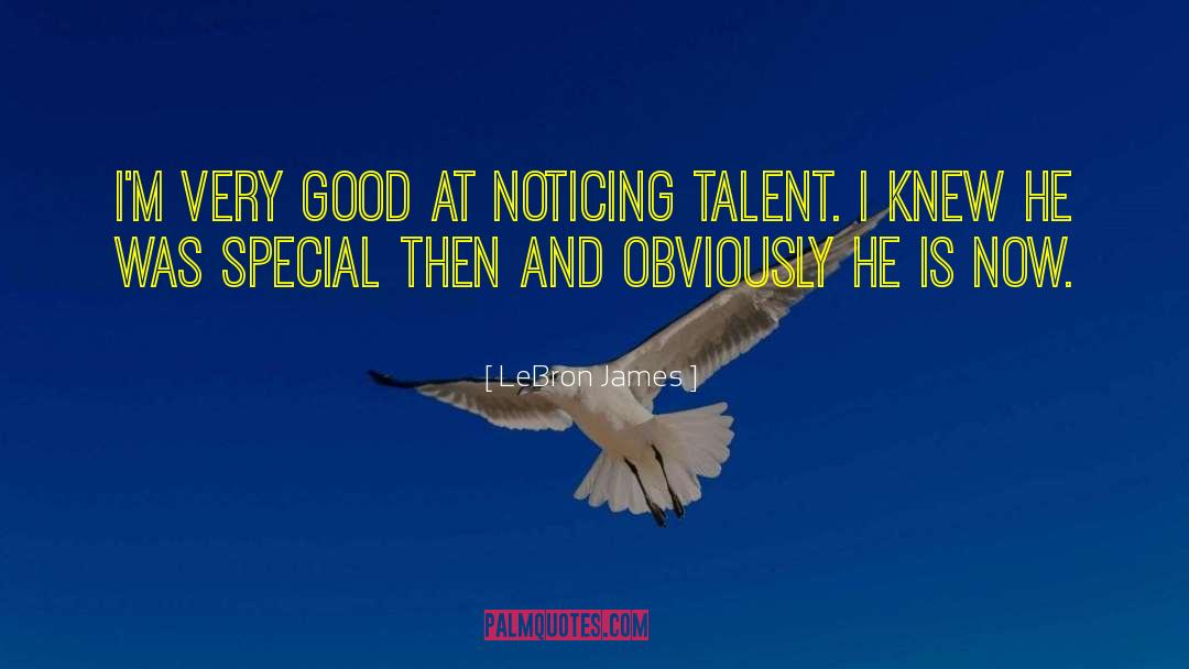 Individual Talent quotes by LeBron James