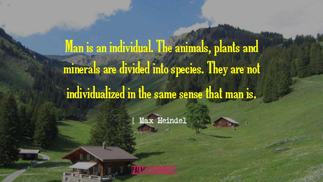 Individualized quotes by Max Heindel