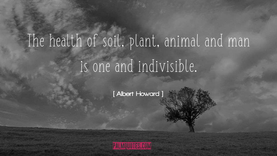 Indivisible quotes by Albert Howard