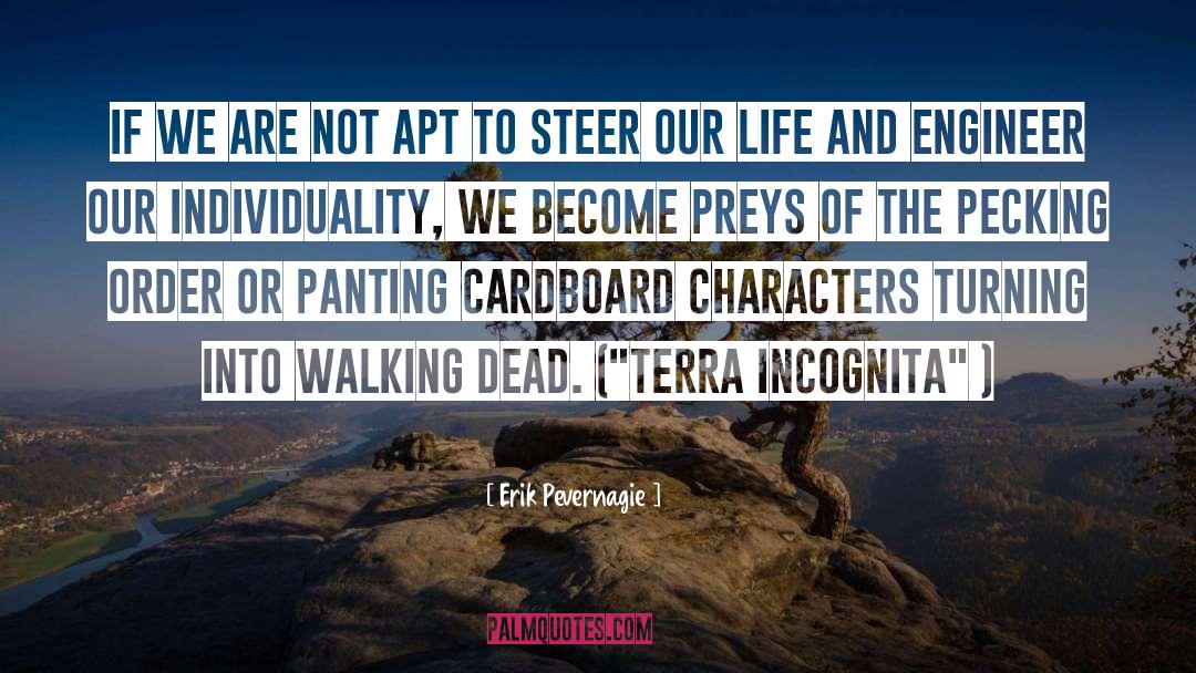 Indivuality quotes by Erik Pevernagie