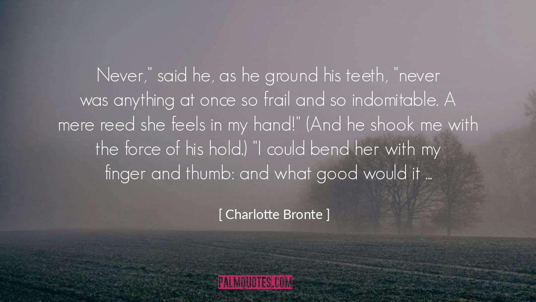 Indomitable quotes by Charlotte Bronte