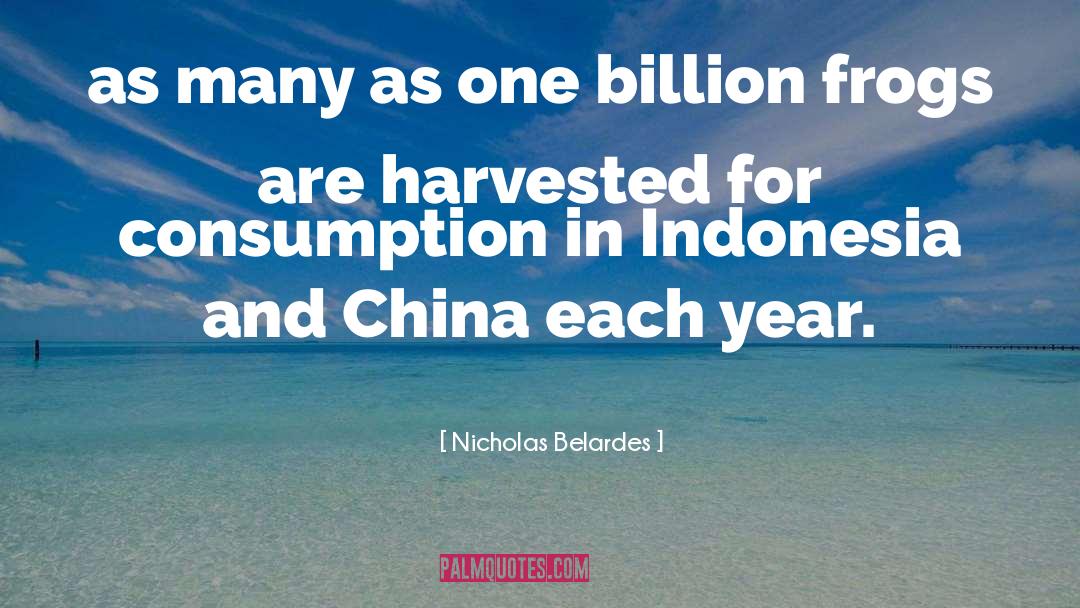 Indonesia quotes by Nicholas Belardes