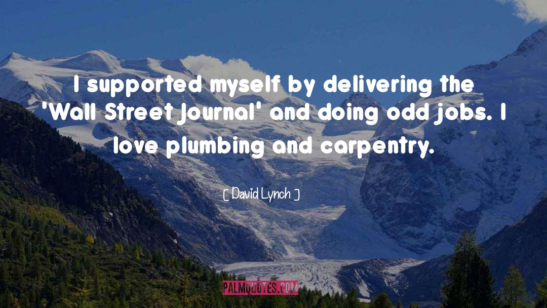 Indoor Plumbing quotes by David Lynch