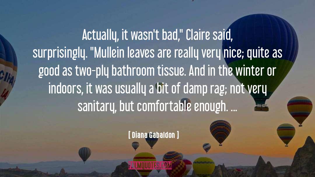 Indoors quotes by Diana Gabaldon