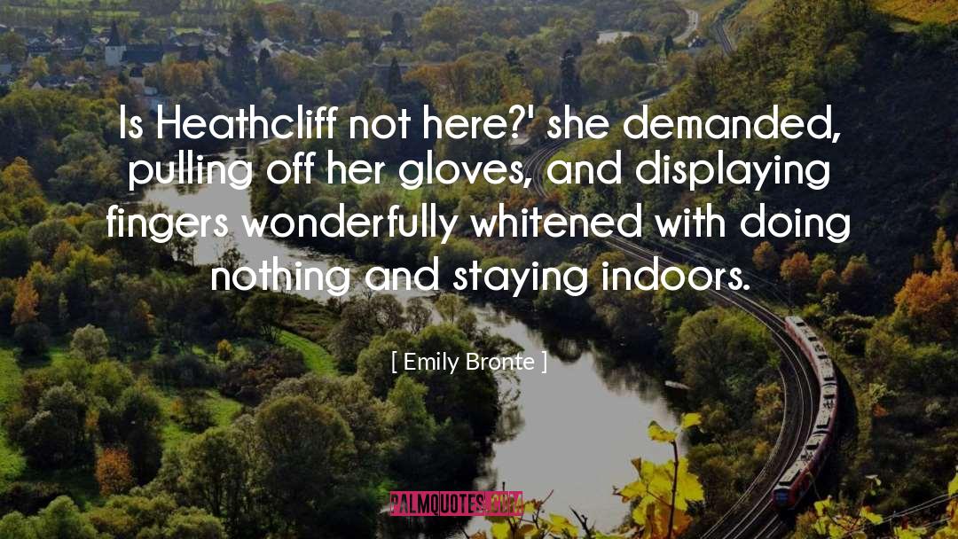 Indoors quotes by Emily Bronte