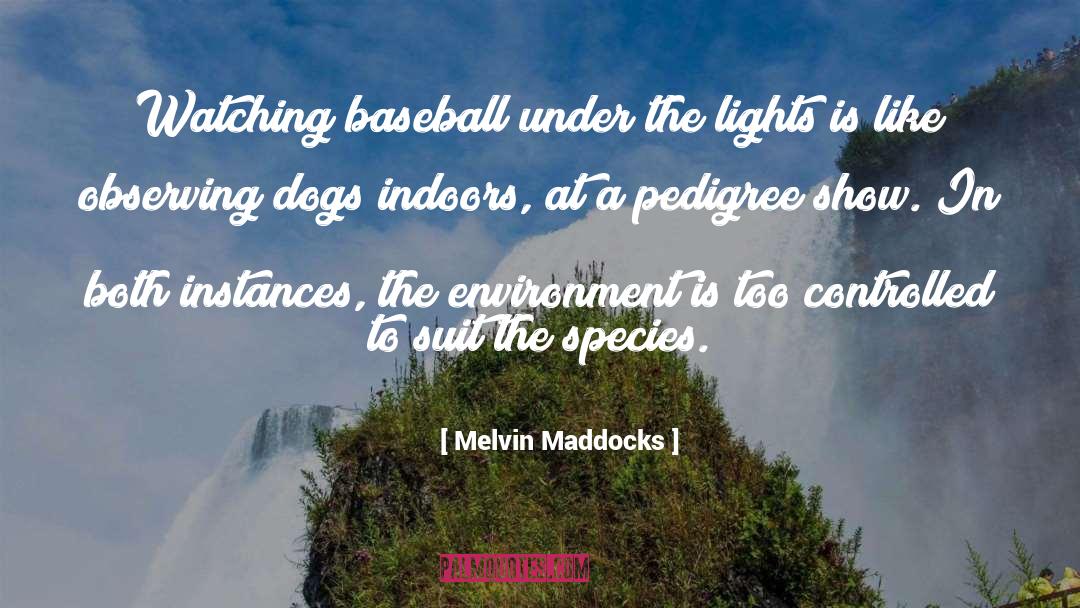 Indoors quotes by Melvin Maddocks