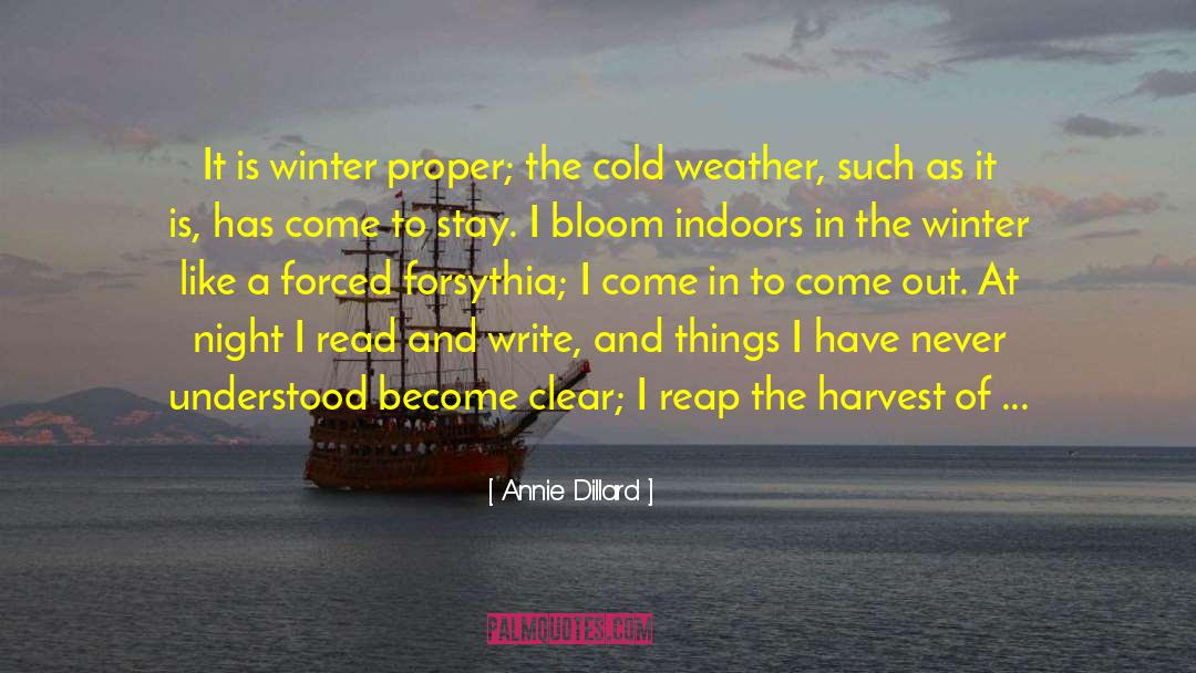 Indoors quotes by Annie Dillard