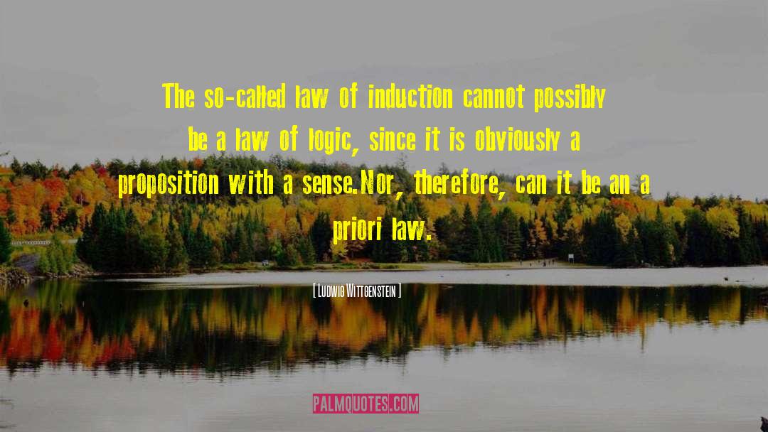 Induction quotes by Ludwig Wittgenstein