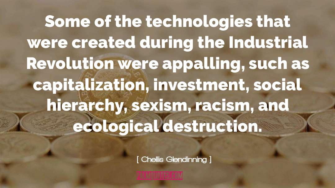 Industrial Revolution quotes by Chellis Glendinning