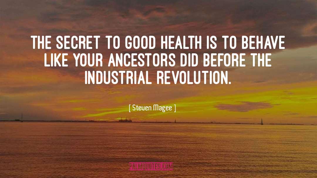 Industrial Revolution quotes by Steven Magee