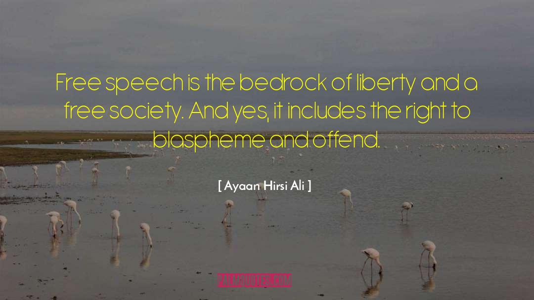 Industrial Society quotes by Ayaan Hirsi Ali
