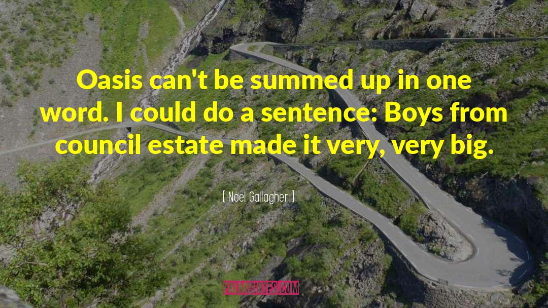 Inefficacy In A Sentence quotes by Noel Gallagher