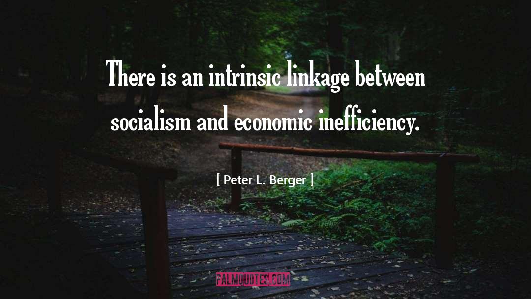 Inefficiency quotes by Peter L. Berger