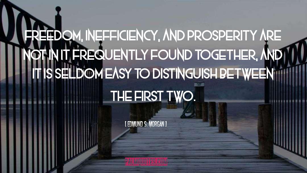 Inefficiency quotes by Edmund S. Morgan