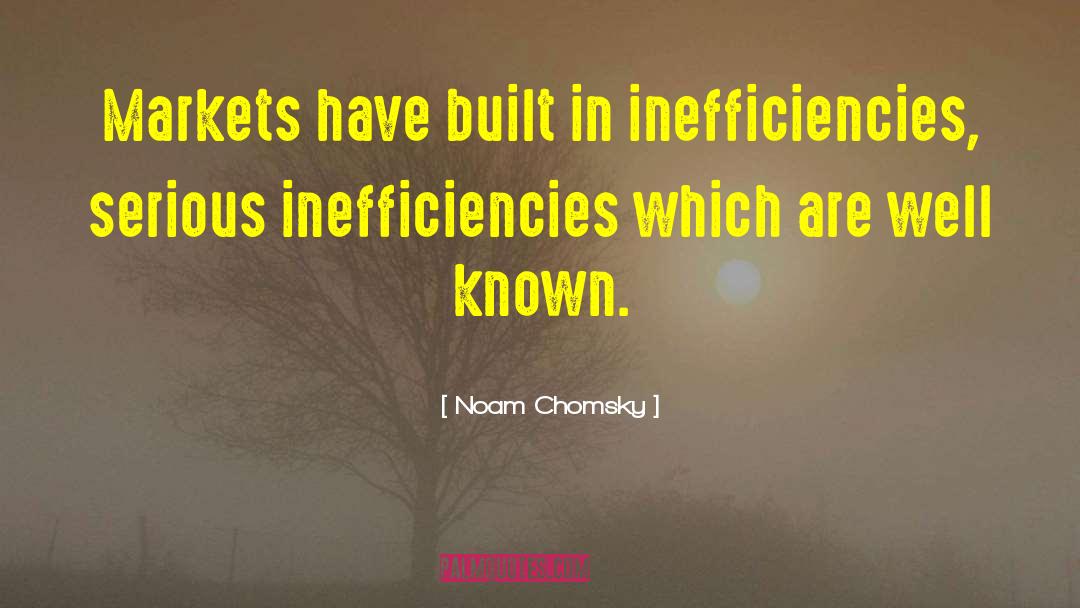 Inefficiency quotes by Noam Chomsky