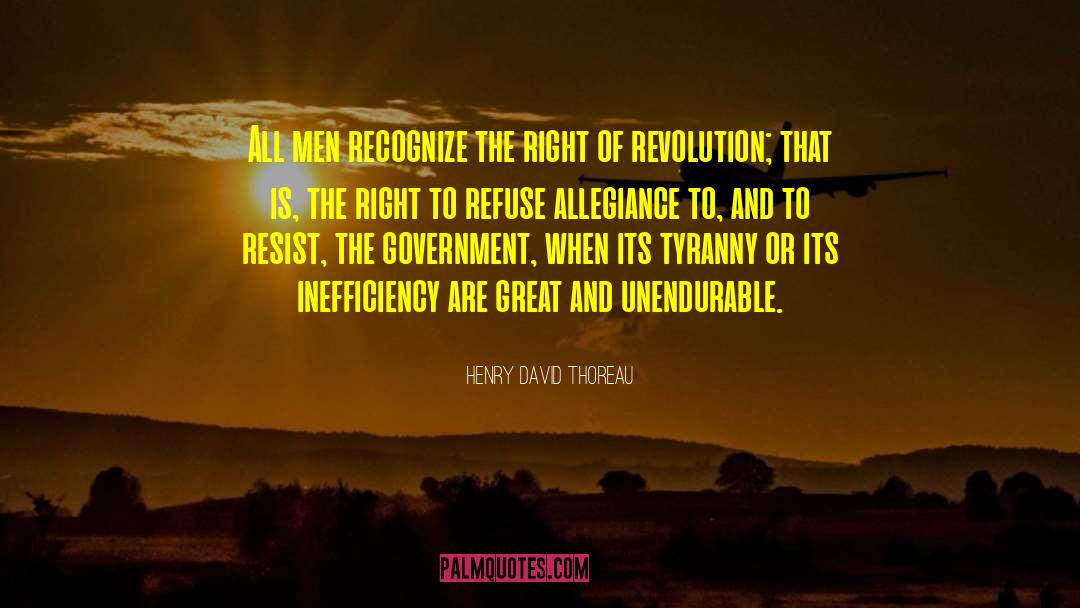 Inefficiency quotes by Henry David Thoreau