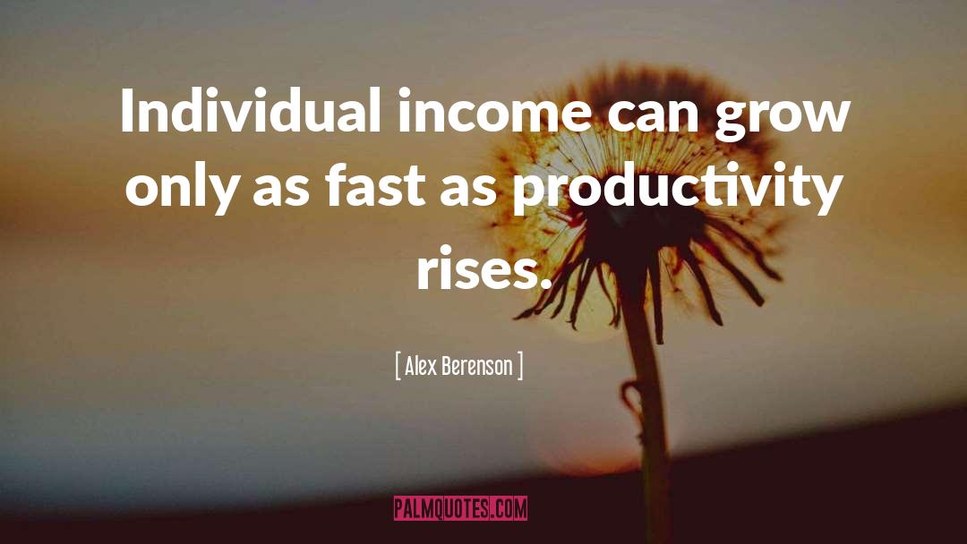 Inequitable Income quotes by Alex Berenson