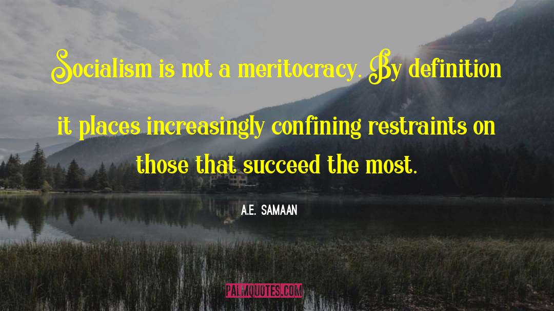 Inequitable Income quotes by A.E. Samaan