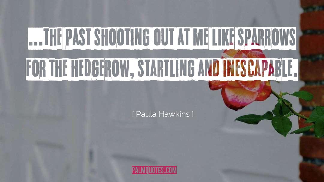 Inescapable quotes by Paula Hawkins