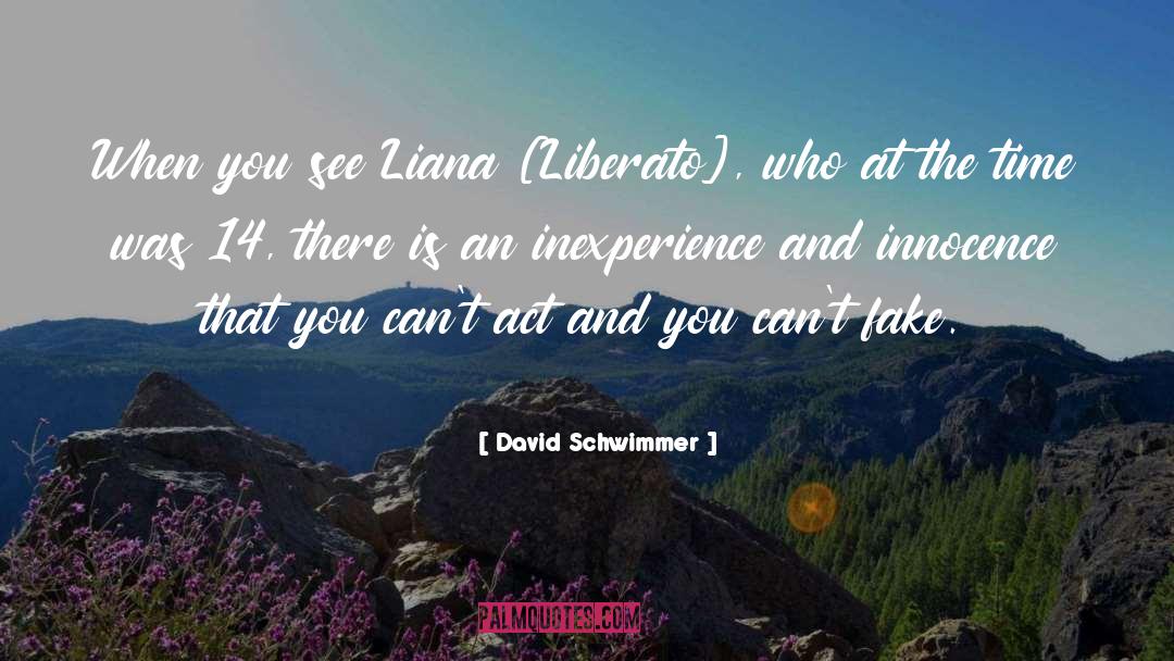 Inexperience quotes by David Schwimmer