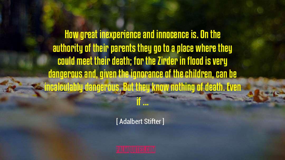 Inexperience quotes by Adalbert Stifter