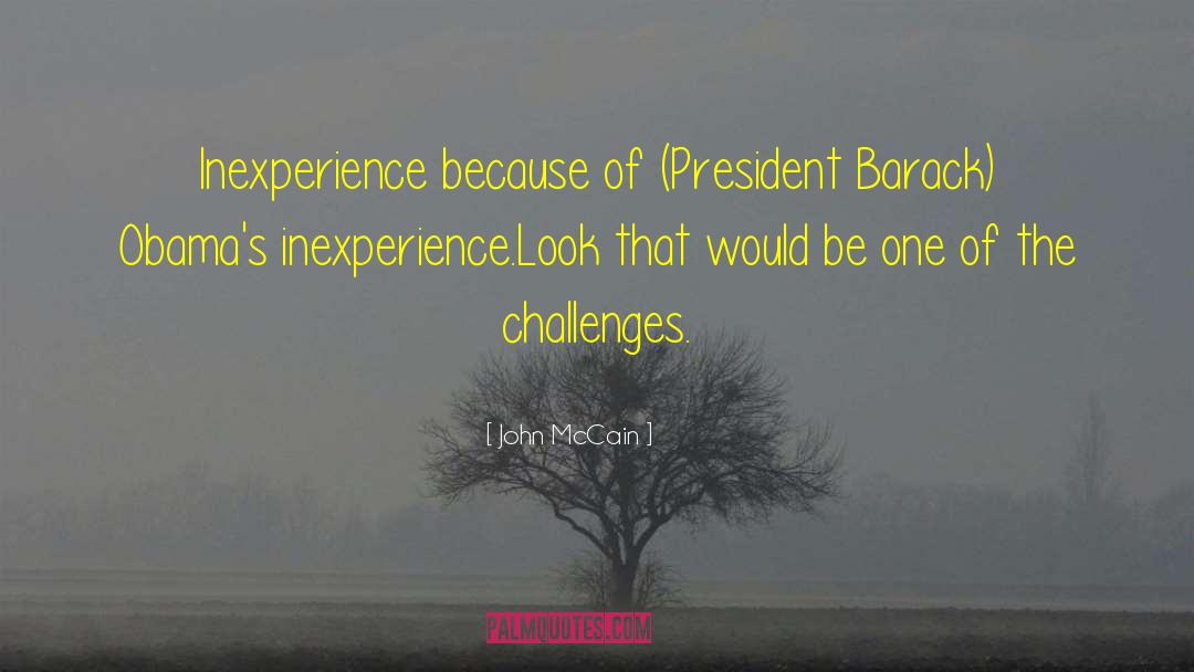 Inexperience quotes by John McCain
