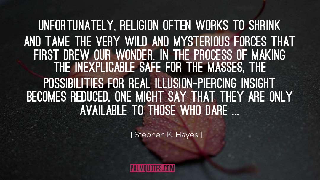 Inexplicable quotes by Stephen K. Hayes