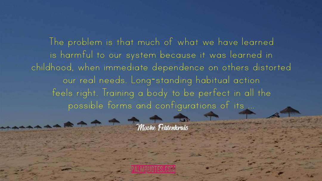 Infant And Childhood Development quotes by Moshe Feldenkrais