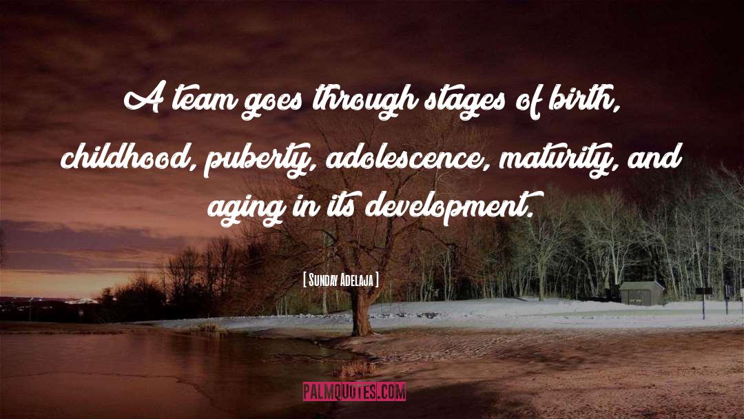 Infant And Childhood Development quotes by Sunday Adelaja