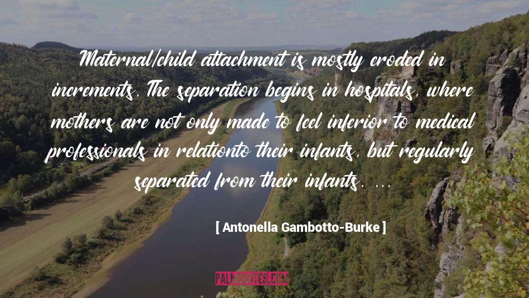 Infant quotes by Antonella Gambotto-Burke