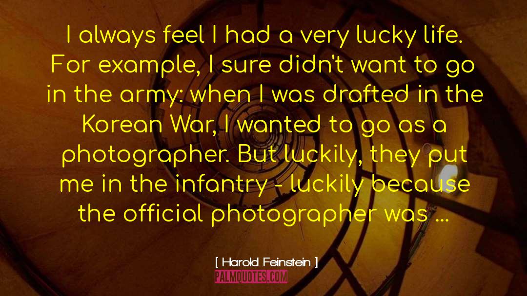 Infantry quotes by Harold Feinstein
