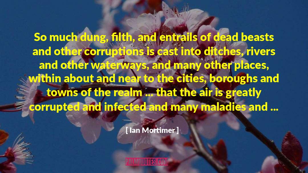 Infected quotes by Ian Mortimer