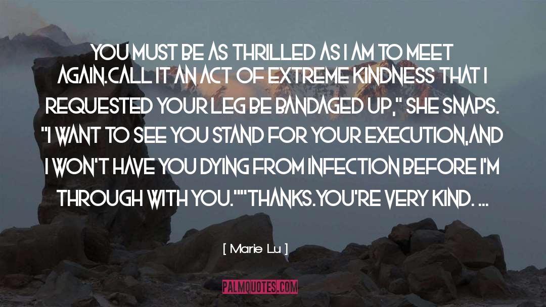 Infection quotes by Marie Lu