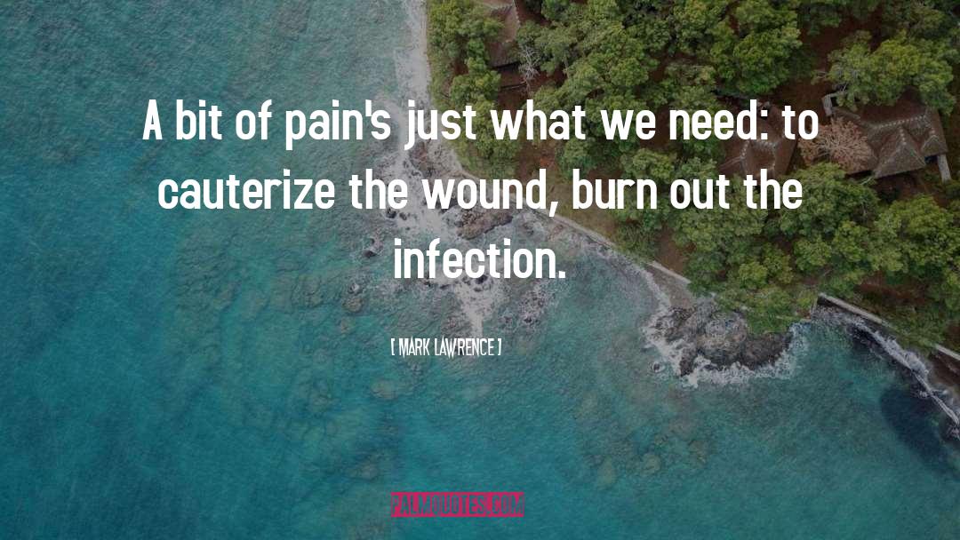 Infection quotes by Mark Lawrence