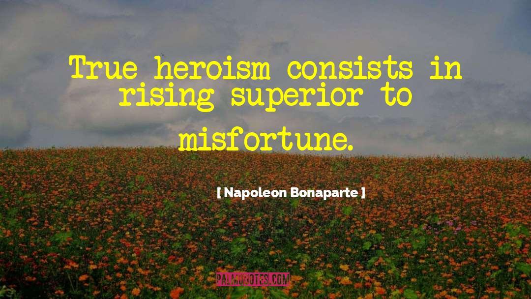 Inferior Superior quotes by Napoleon Bonaparte