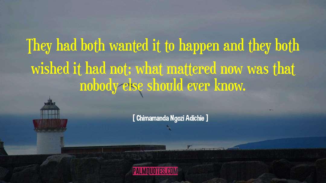 Infidelity quotes by Chimamanda Ngozi Adichie