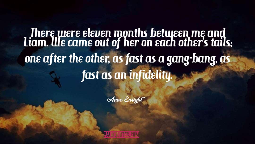 Infidelity quotes by Anne Enright