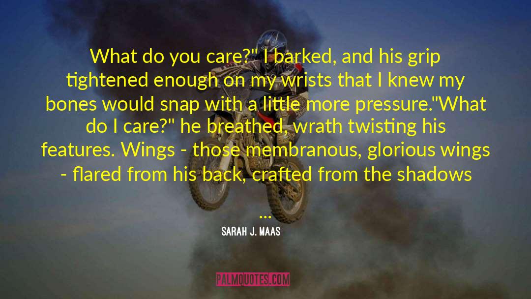 Infielders Mask quotes by Sarah J. Maas